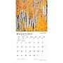 2027 BrownTrout Colorado Wild & Scenic 12" x 12" Monthly Wall Calendar (9798330710478)~#|#~sp320817786_sc7