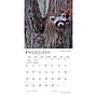 2027 BrownTrout Connecticut Wild & Scenic 12" x 12" Monthly Wall Calendar (9798330714155)~#|#~sp320817796_sc7