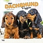 2027 BrownTrout Dachshund Puppies 12" x 12" Monthly Wall Calendar (9798330712380)~#|#~sp320817823_sc7
