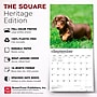 2027 BrownTrout Dachshund Puppies 12" x 12" Monthly Wall Calendar (9798330712380)~#|#~sp320817828_sc7