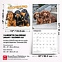 2027 BrownTrout Dachshund Puppies 12" x 12" Monthly Wall Calendar (9798330712380)~#|#~sp320817829_sc7