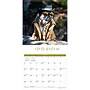 2027 BrownTrout Fantasy Pugs 12" x 12" Monthly Wall Calendar (9798330713226)~#|#~sp320817876_sc7