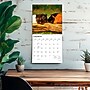 2027 BrownTrout Guinea Pigs 12" x 12" Monthly Wall Calendar (9798330711901)~#|#~sp320818237_sc7