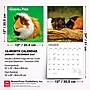 2027 BrownTrout Guinea Pigs 12" x 12" Monthly Wall Calendar (9798330711901)~#|#~sp320818239_sc7