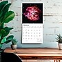 2027 BrownTrout James Webb Space Telescope 12" x 12" Monthly Wall Calendar (9798330711567)~#|#~sp320818506_sc7
