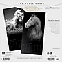 2027 BrownTrout The Noble Horse 12" x 12" Monthly Wall Calendar (9798330711994)~#|#~sp320818575_sc7