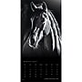 2027 BrownTrout The Noble Horse 12" x 12" Monthly Wall Calendar (9798330711994)~#|#~sp320818576_sc7