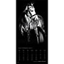 2027 BrownTrout The Noble Horse 12" x 12" Monthly Wall Calendar (9798330711994)~#|#~sp320818577_sc7