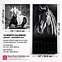2027 BrownTrout The Noble Horse 12" x 12" Monthly Wall Calendar (9798330711994)~#|#~sp320818580_sc7
