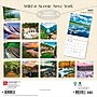 2027 BrownTrout New York Wild & Scenic 12" x 12" Monthly Wall Calendar (9798330710768)~#|#~sp320824604_sc7