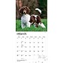 2027 BrownTrout Poodles 12" x 12" Monthly Wall Calendar (9798330712595)~#|#~sp320830270_sc7