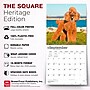 2027 BrownTrout Poodles 12" x 12" Monthly Wall Calendar (9798330712595)~#|#~sp320830278_sc7