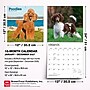 2027 BrownTrout Poodles 12" x 12" Monthly Wall Calendar (9798330712595)~#|#~sp320830279_sc7