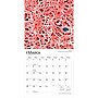 2027 BrownTrout Microscopic World of Innerspace 12" x 12" Monthly Wall Calendar (9798330714261)~#|#~sp320832779_sc7