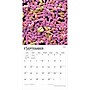2027 BrownTrout Microscopic World of Innerspace 12" x 12" Monthly Wall Calendar (9798330714261)~#|#~sp320832780_sc7