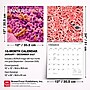 2027 BrownTrout Microscopic World of Innerspace 12" x 12" Monthly Wall Calendar (9798330714261)~#|#~sp320832809_sc7