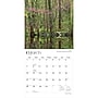 2027 BrownTrout Michigan Nature 12" x 12" Monthly Wall Calendar (9798330714377)~#|#~sp320833701_sc7