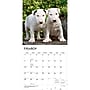 2027 BrownTrout I Love Puppies 12" x 12" Monthly Wall Calendar (9798330711833)~#|#~sp320848211_sc7