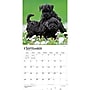 2027 BrownTrout I Love Puppies 12" x 12" Monthly Wall Calendar (9798330711833)~#|#~sp320848212_sc7