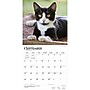 2027 BrownTrout Tuxedo Cats 12" x 12" Monthly Wall Calendar (9798330711826)~#|#~sp320851067_sc7