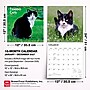 2027 BrownTrout Tuxedo Cats 12" x 12" Monthly Wall Calendar (9798330711826)~#|#~sp320851071_sc7