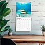 2027 BrownTrout Sharks 12" x 12" Monthly Wall Calendar (9798330712106)~#|#~sp320855766_sc7