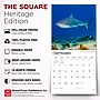2027 BrownTrout Sharks 12" x 12" Monthly Wall Calendar (9798330712106)~#|#~sp320855767_sc7
