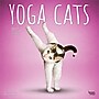 2027 BrownTrout Yoga Cats 12" x 12" Monthly Wall Calendar (9798330713509)~#|#~sp320857081_sc7