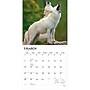 2027 BrownTrout Wolves 12" x 12" Monthly Wall Calendar (9798330712151)~#|#~sp320857536_sc7