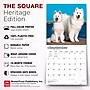 2027 BrownTrout Samoyeds 12" x 12" Monthly Wall Calendar (9798330712649)~#|#~sp320860078_sc7