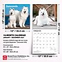 2027 BrownTrout Samoyeds 12" x 12" Monthly Wall Calendar (9798330712649)~#|#~sp320860079_sc7