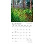2027 BrownTrout America's National Parks 12" x 12" Monthly Wall Calendar (9798330713622)~#|#~sp320863711_sc7