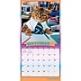 2027 BrownTrout Avanti Cranky Kitties 12" x 12" Monthly Wall Calendar (9798330712946)~#|#~sp320863835_sc7
