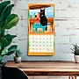 2027 BrownTrout Avanti Cranky Kitties 12" x 12" Monthly Wall Calendar (9798330712946)~#|#~sp320863836_sc7