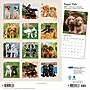 2027 BrownTrout Puppy Pals 12" x 12" Monthly Wall Calendar (9798330713837)~#|#~sp320867427_sc7