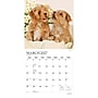 2027 BrownTrout Puppy Pals 12" x 12" Monthly Wall Calendar (9798330713837)~#|#~sp320867428_sc7