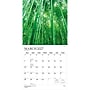 2027 BrownTrout Psalms 12" x 12" Monthly Wall Calendar (9798330713813)~#|#~sp320867991_sc7