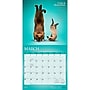 2027 BrownTrout Yoga Cats Together 12" x 12" Monthly Wall Calendar (9798330713516)~#|#~sp320868254_sc7