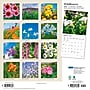 2027 BrownTrout Wildflowers 12" x 12" Monthly Wall Calendar (9798330713899)~#|#~sp320868669_sc7