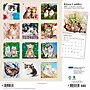 2027 BrownTrout Kitten Cuddles 12" x 12" Monthly Wall Calendar (9798330713721)~#|#~sp320869420_sc7