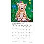 2027 BrownTrout Kitten Cuddles 12" x 12" Monthly Wall Calendar (9798330713721)~#|#~sp320869422_sc7