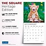 2027 BrownTrout Kitten Cuddles 12" x 12" Monthly Wall Calendar (9798330713721)~#|#~sp320869424_sc7