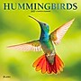 2027 BrownTrout Hummingbirds 12" x 12" Monthly Wall Calendar (9798330713684)~#|#~sp320869513_sc7