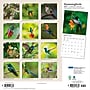 2027 BrownTrout Hummingbirds 12" x 12" Monthly Wall Calendar (9798330713684)~#|#~sp320869514_sc7