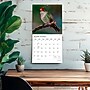 2027 BrownTrout Hummingbirds 12" x 12" Monthly Wall Calendar (9798330713684)~#|#~sp320869536_sc7