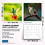 2027 BrownTrout Hummingbirds 12" x 12" Monthly Wall Calendar (9798330713684)~#|#~sp320869538_sc7
