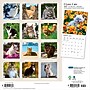 2027 BrownTrout I Love Cats 12" x 12" Monthly Wall Calendar (9798330713691)~#|#~sp320869613_sc7