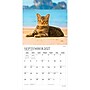 2027 BrownTrout I Love Cats 12" x 12" Monthly Wall Calendar (9798330713691)~#|#~sp320869615_sc7