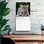 2027 BrownTrout I Love Cats 12" x 12" Monthly Wall Calendar (9798330713691)~#|#~sp320869617_sc7