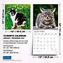 2027 BrownTrout I Love Cats 12" x 12" Monthly Wall Calendar (9798330713691)~#|#~sp320869634_sc7